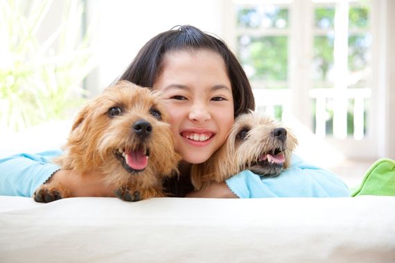 動物好きなら誰でも