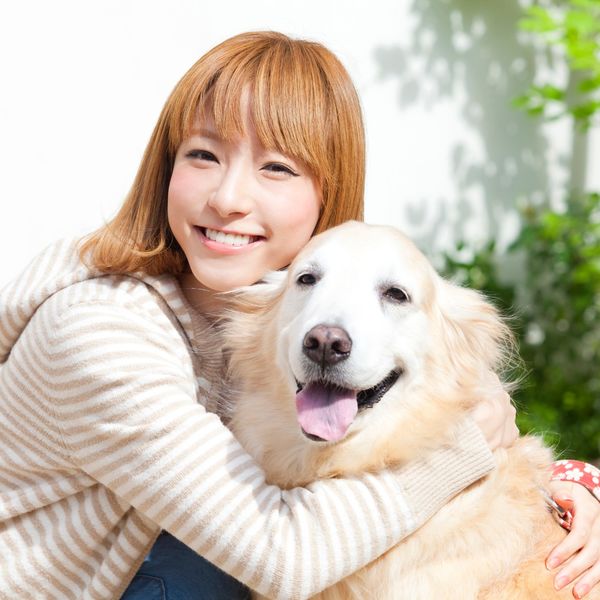 横浜の当ペットショップは優秀なブリーダーが在籍しています